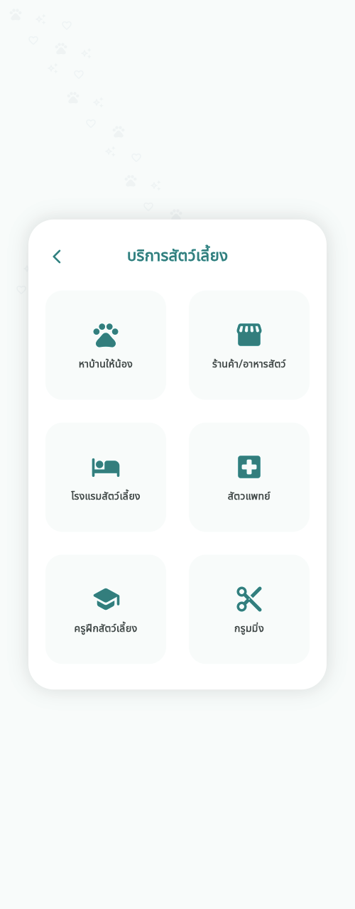 PetVerse services preview